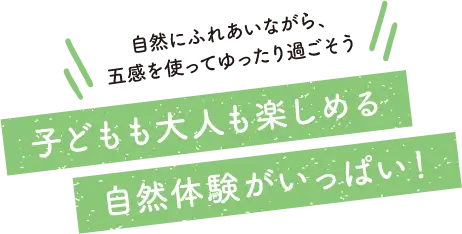 子どもも大人も楽しめる自然体験がいっぱい!
